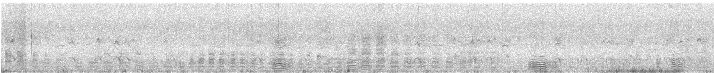 Gray Teal - ML646677132