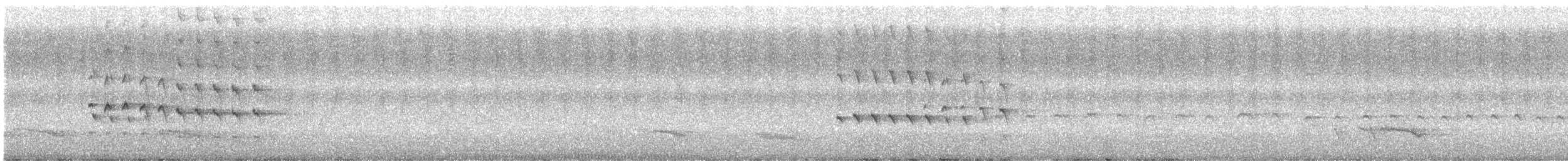 Brown Goshawk - ML646677528