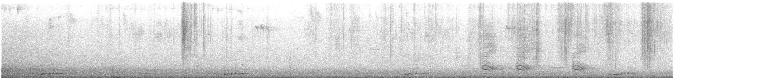 Wild Turkey - ML646677529