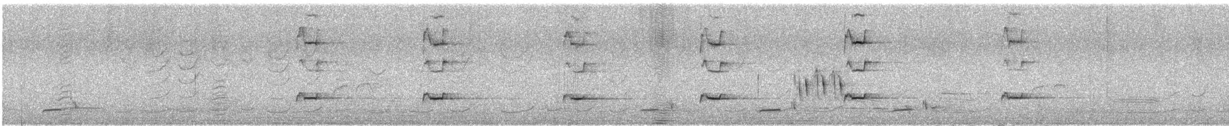 Magpie-lark - ML646677564