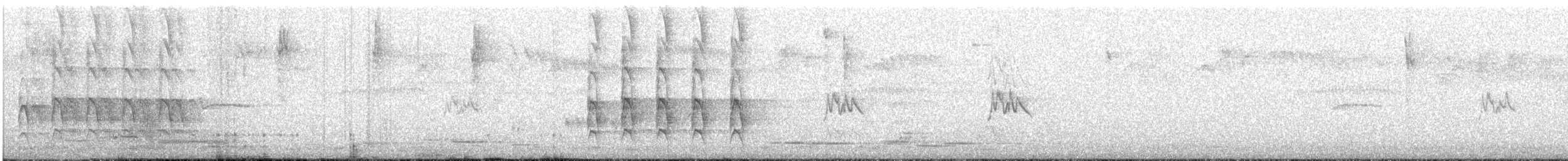 Sacred Kingfisher - ML646677568