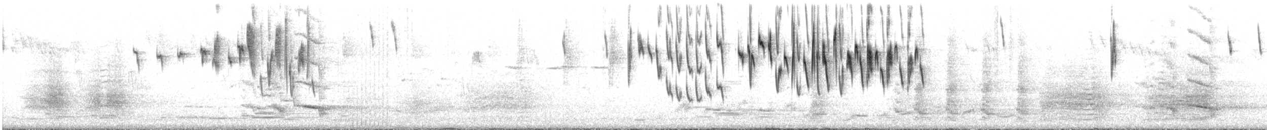 Superb Fairywren - ML646677615