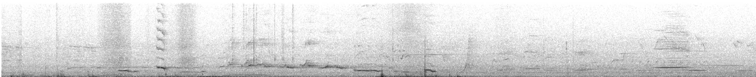 Gray Butcherbird - ML646677659