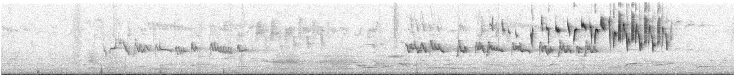 Silvereye - ML646677668