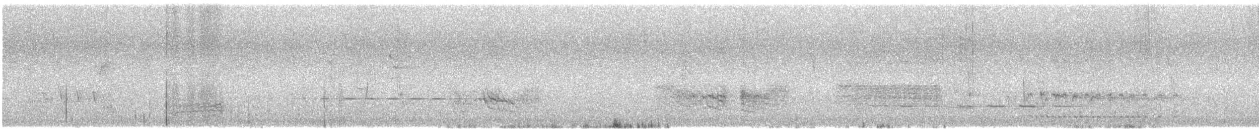 Black-faced Cuckooshrike - ML646677716