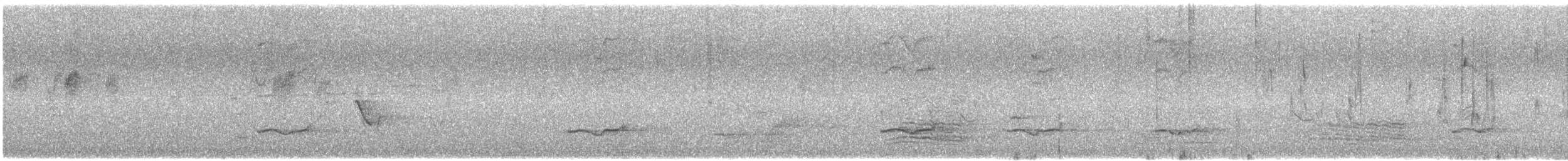 Falconelle à ventre blanc - ML646677814