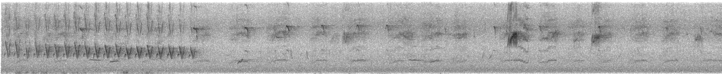 Échenilleur tricolore - ML646677849