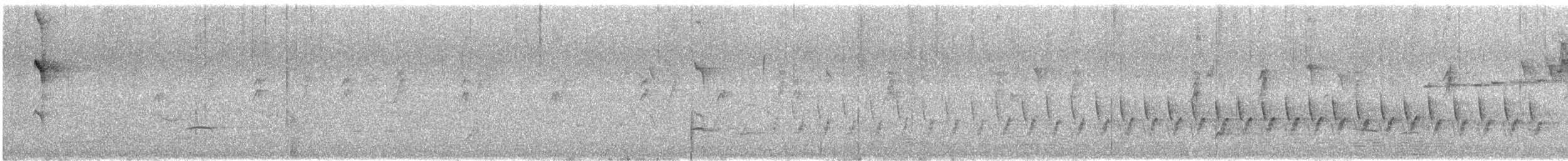 Échenilleur tricolore - ML646677888