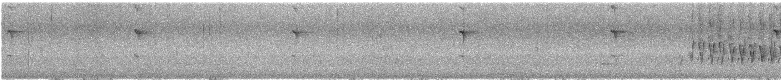 Échenilleur tricolore - ML646677927