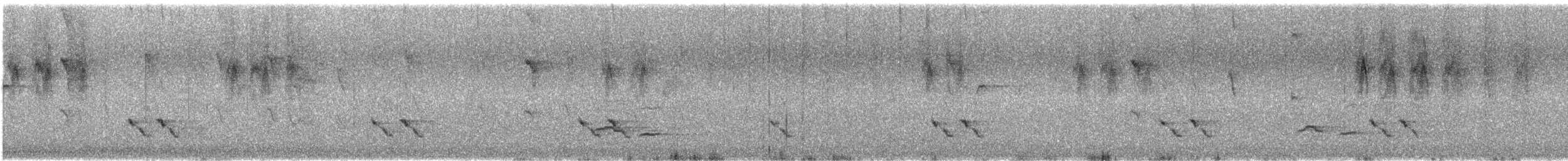 Pardalote à point jaune (substriatus) - ML646677941