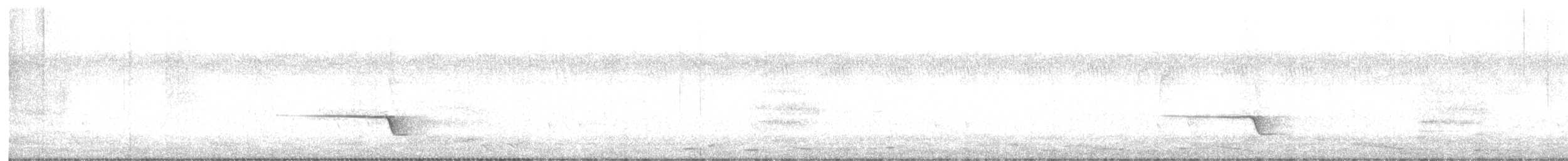 Siffleur itchong - ML646678103