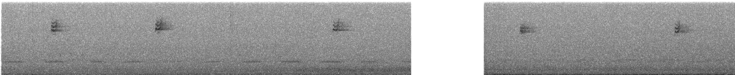 Bruant à couronne blanche - ML646678166