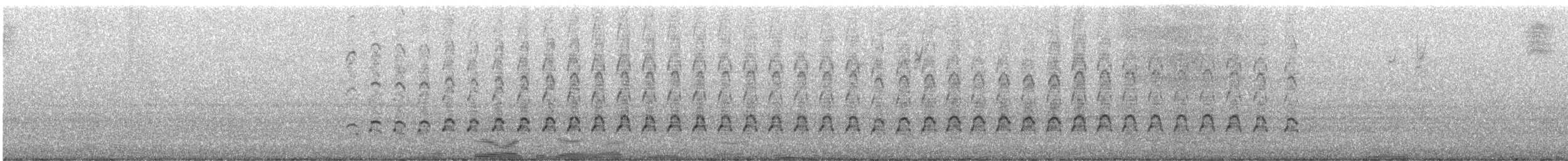 Скопа західна - ML646678190