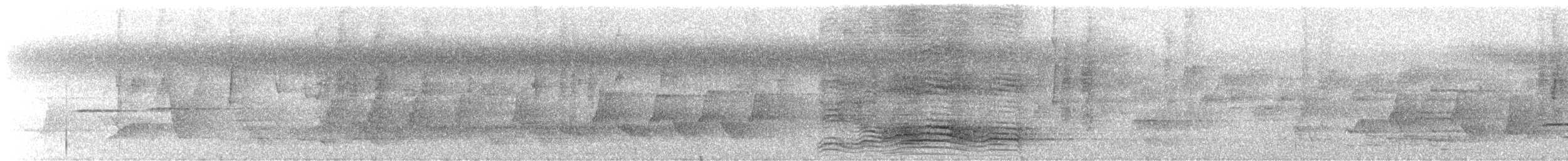 Maullador Moteado - ML646678212