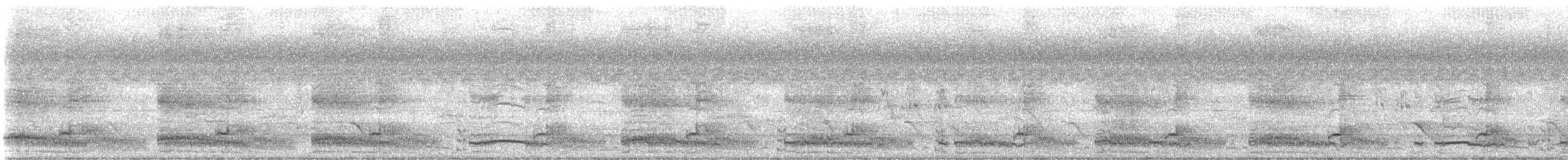 Gallineta Moluqueña - ML646678213