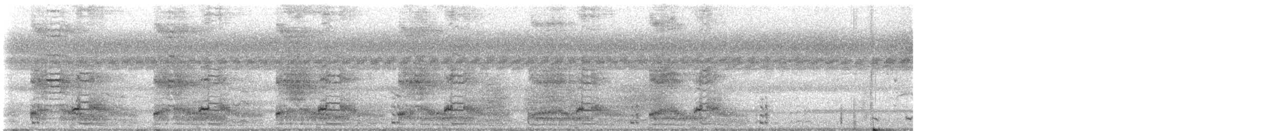 Gallineta Moluqueña - ML646678215