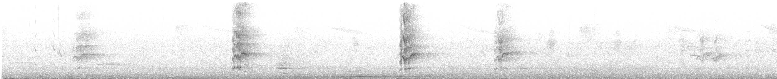 Loriquet arc-en-ciel - ML646678340