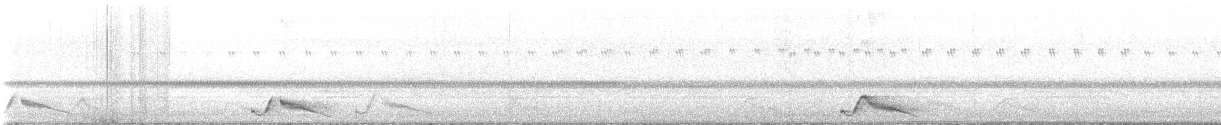 Engoulevent pauraqué - ML646678360