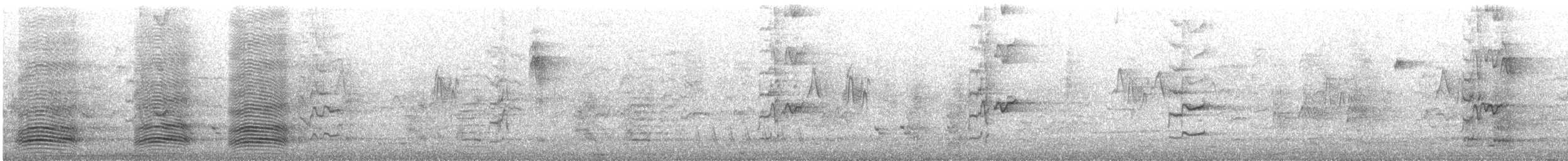 ミナミコワタリガラス - ML646678421