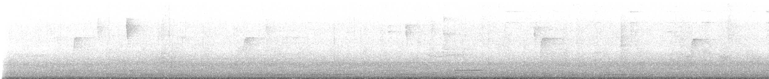 Todirostre familier - ML646678461