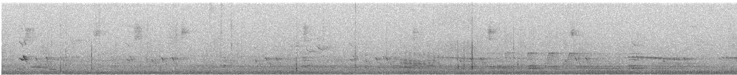 Коала - ML646678673