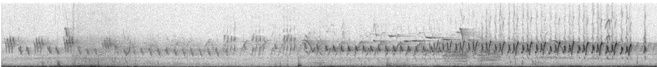 Белокрылый личинкоед-свистун - ML646678678