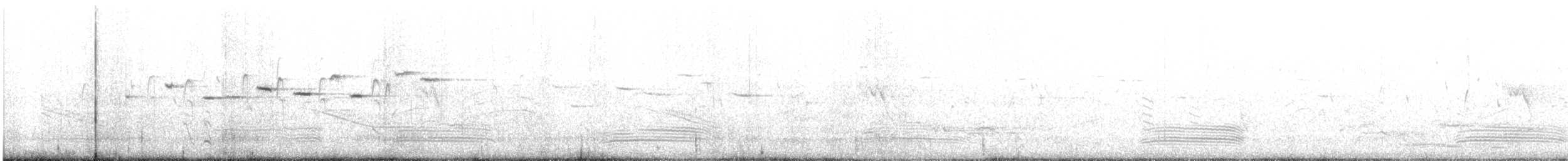 Чёрно-белая веерохвостка - ML646678684