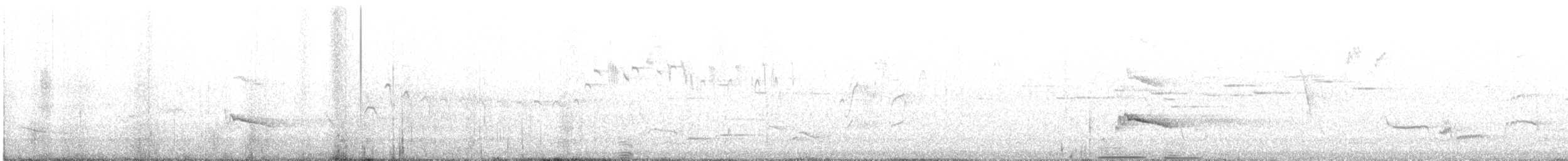 птица sp. - ML646678702