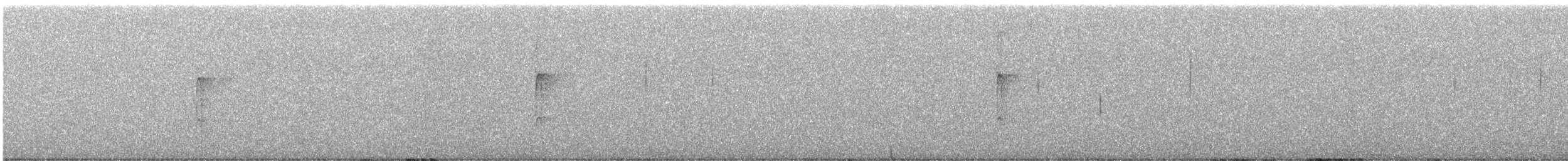 セジロコゲラ - ML646678898