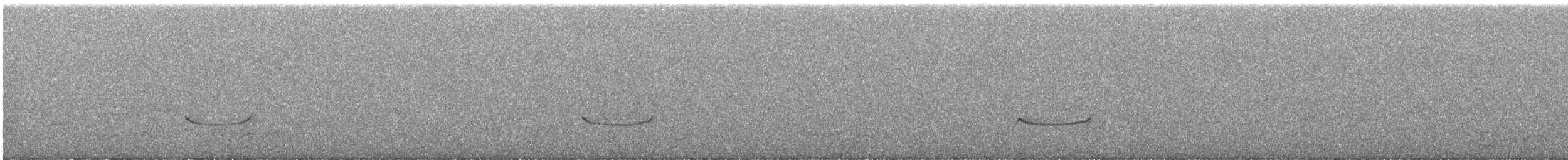 チャイロツキヒメハエトリ - ML646678899