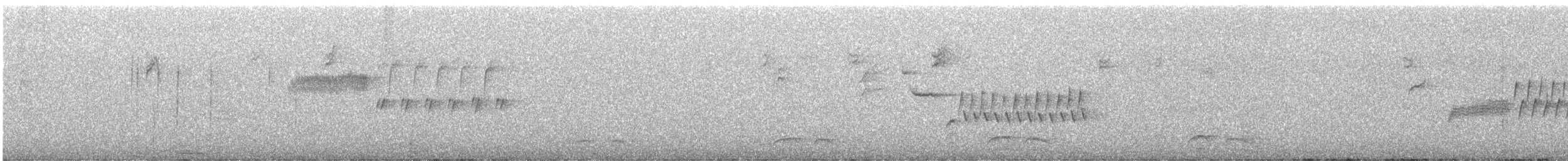 シロハラミソサザイ - ML646678903