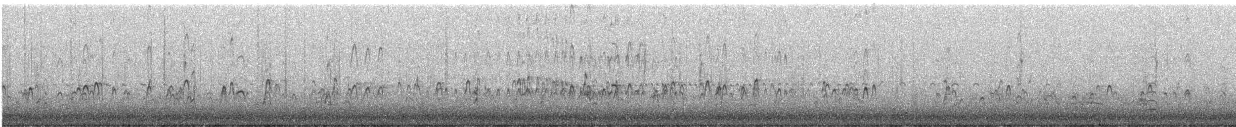 オオハシシギ - ML646678937