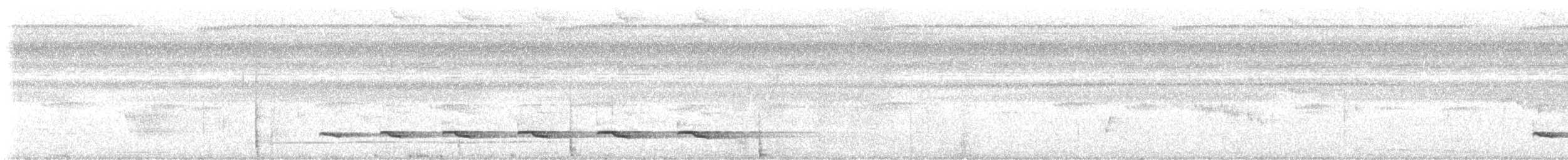 カタジロアリドリ - ML646678973