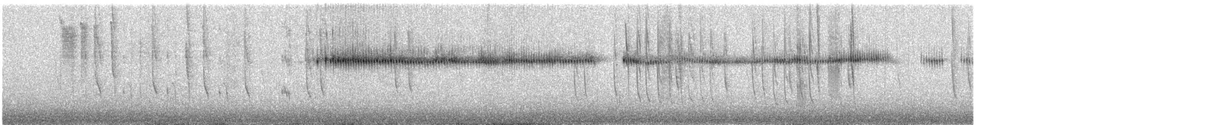 Broad-tailed Hummingbird - ML646679065