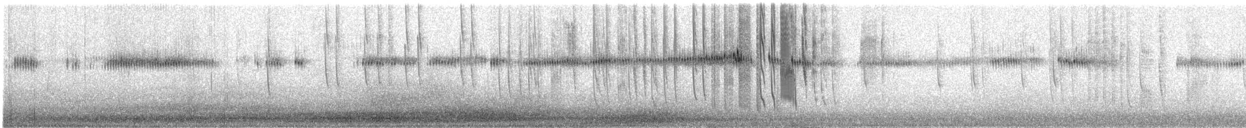 Broad-tailed Hummingbird - ML646679123