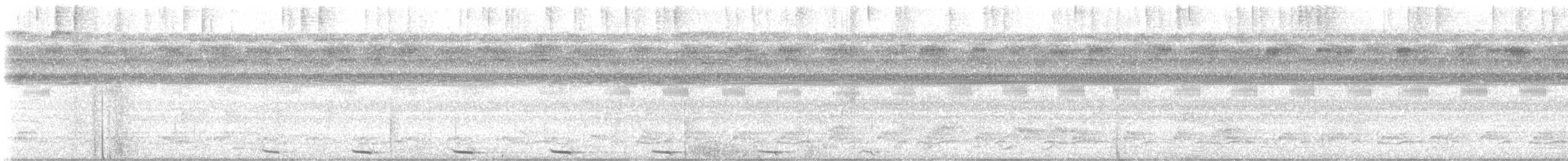 Black-fronted Nunbird - ML646679152