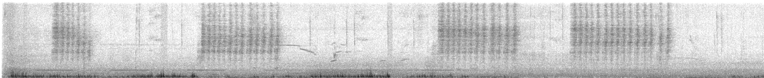 Northern House Wren - ML646679191