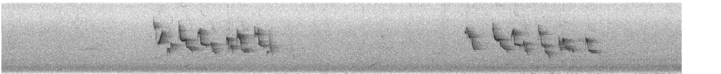 メジロ - ML646679617