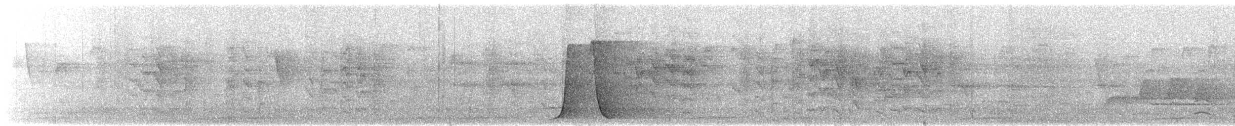 ムナグロシラヒゲドリ - ML646679815