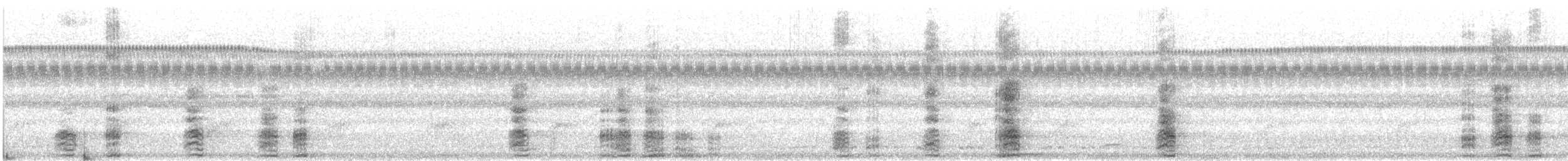 karančo jižní - ML646679824