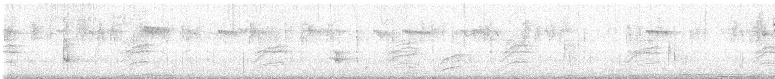 Hermit Thrush - ML646680411