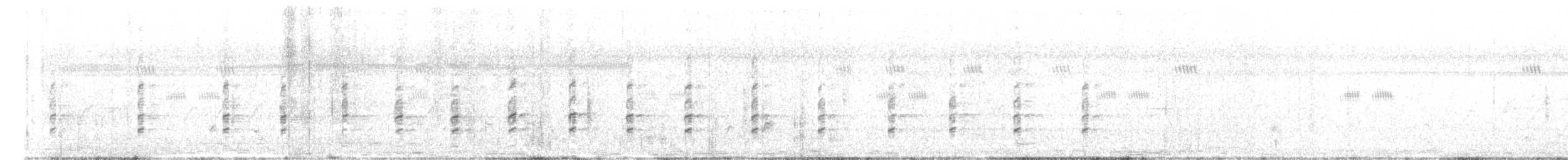 Black-winged Stilt - ML646680677