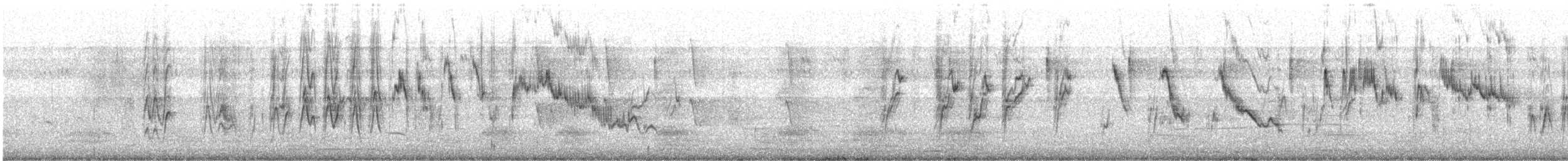 White-browed Wagtail - ML646680835