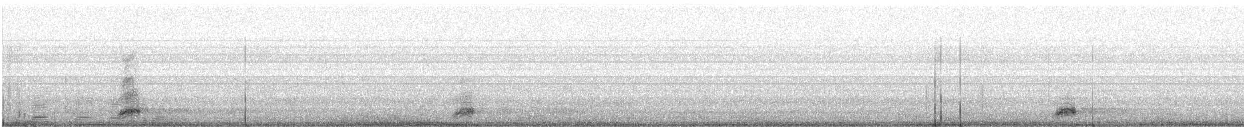 Black-crowned Night Heron - ML646680897