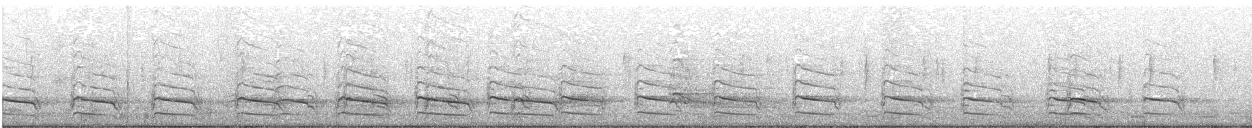 Red-shouldered Hawk - ML646681360