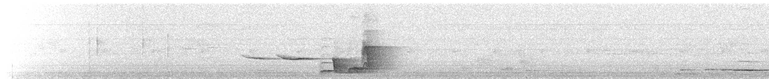 ムナフモズツグミ - ML646681491