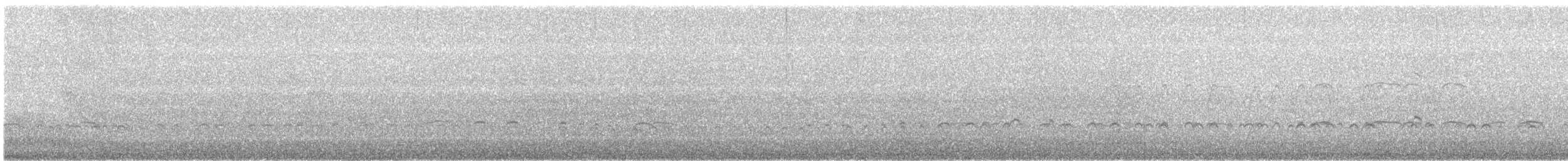 Kara Poyrazkuşu - ML646681668