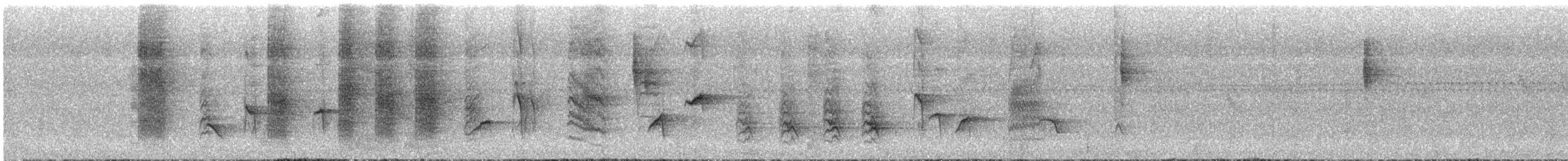 小卷尾 - ML646681865