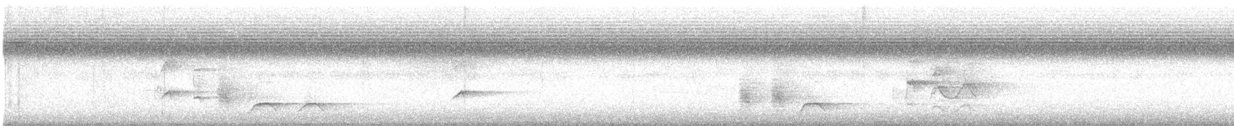 Greater Racket-tailed Drongo - ML646681888