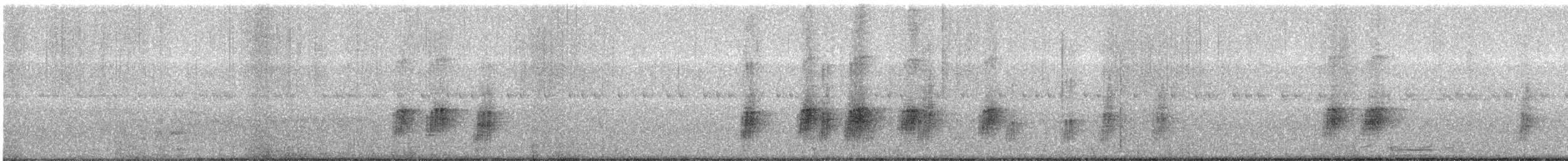 Силамбан тайванський - ML646681993